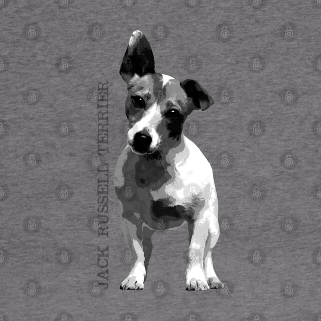 Jack Russell Terrier by Nartissima